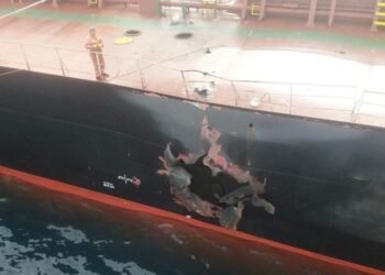 Missile Struck Turkish Ship Off Yemen, EU NAVFOR Official Says