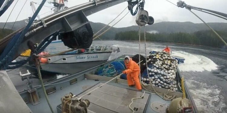Alaskan Fishing Wars – Incident Video Shows Violent Collision Between Competing Fishing Boats