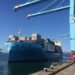 Vistula Maersk – New Ice-Class Feeder Vessel Makes Maiden Call in Russia [Photos]