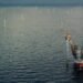 China Faces Wind Turbine and Foundation Installation Vessel Shortage