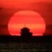 A cargo ship is silhouetted as the sun sets along the coast of Manila bay