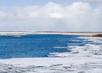 10 White Sea Facts You Might Not Know