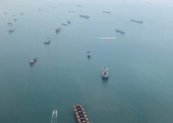 Singaporean Pilot Dies in Vessel Transfer Accident