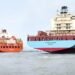 Two Decades of Liner Shipping Consolidation Has ‘Destroyed’ Shareholder Value, Says Report Maersk line and Hamburg sud