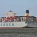 Carriers Beginning to Postpone ULCV Deliveries Amid Overcapacity as well as Softer Demand cosco developement