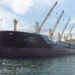 MAIB: Poor Stevedoring Practices Contributed to Fatal Cargo Collapse on Bulk Carrier