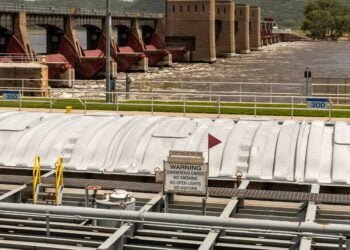 20 Years of Success and Still More to Come