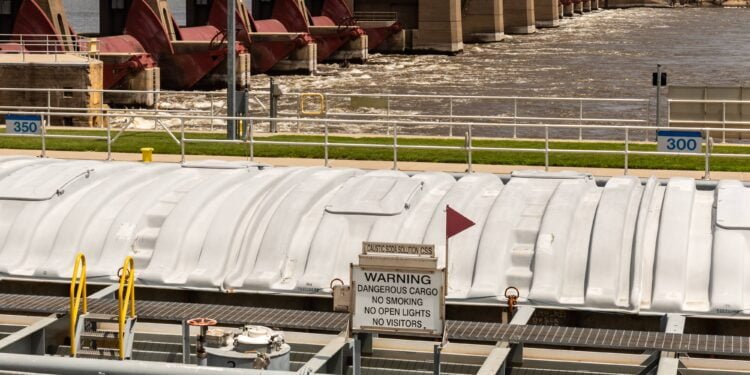 20 Years of Success and Still More to Come