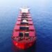 dry bulk ship