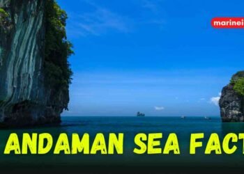 10 Andaman Sea Facts You Might Not Know