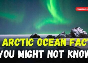 10 Arctic Ocean Facts You Might Not Know
