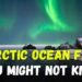 10 Arctic Ocean Facts You Might Not Know