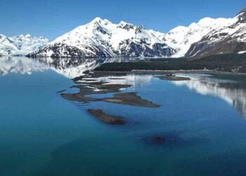 10 Gulf Of Alaska Facts You Might Not Know