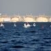 China Locks In United States LNG As Energy Prices Escalate LNG Tanker At Sea