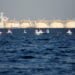 LNG Tanker Takes $2M U-Turn In Pursuit Of Higher Gas Prices LNG tanker