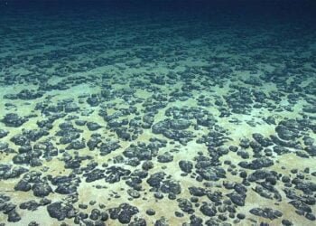 UN to Start Taking Deep-sea Mining Applications This July