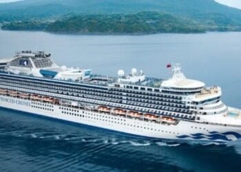 Marine Pilot Dies in Pilot Ladder Accident While Boarding Cruise Ship