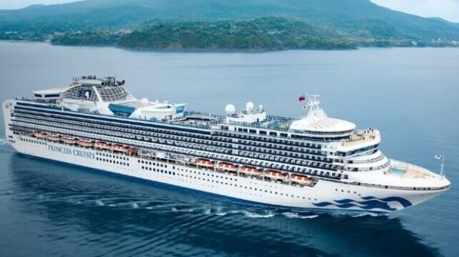 Marine Pilot Dies in Pilot Ladder Accident While Boarding Cruise Ship