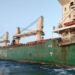 Philippines Prepares for Offloading of Stranded Chinese Bulker