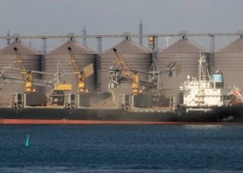 Can Ukraine's Grain Corridor Ease the Global Food Crisis?