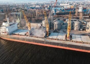 Insurers Covering Ukraine Grain Corridor Shipments for Now