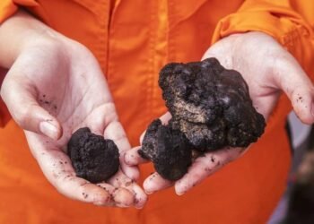 Norway's Loke Buys UK Deep-sea Mining Firm from Lockheed