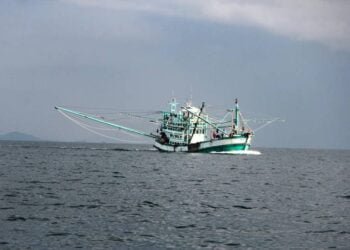 Ministers Seek to Combat Organized Crime in Global Fisheries