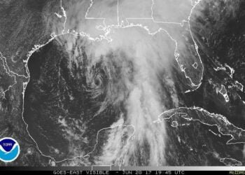 Tropical Storm Cindy Disrupts Gulf of Mexico Shipping, Crude Imports
