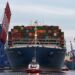 Growing ULCV Fleet to Cause ‘Catastrophic Economic Failure’ Among Some Terminals, Warns Analyst