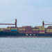 Australia Bans MSC Containership Over Safety Deficiencies