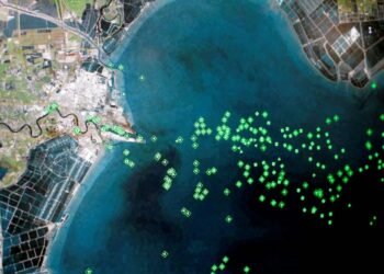 As Smog Lifts, China’s Ports Grapple with Huge Backlog of Ships