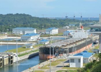 U.S. Gulf Corn Hits Post-Harvest Highs as PNW Port Gridlock Persists