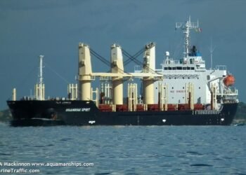 Two Seriously Injured in Scaffolding Accident Aboard Bulk Carrier in Australia