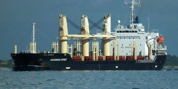 Two Seriously Injured in Scaffolding Accident Aboard Bulk Carrier in Australia