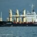 Two Seriously Injured in Scaffolding Accident Aboard Bulk Carrier in Australia