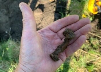 Central Norway's Largest Burial Mound Probably Contains Ship's Grave