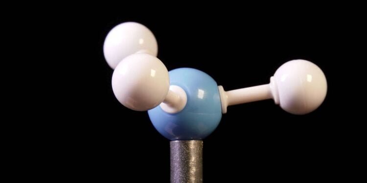 Why Ammonia is the Fuel of the Future for Maritime Shipping