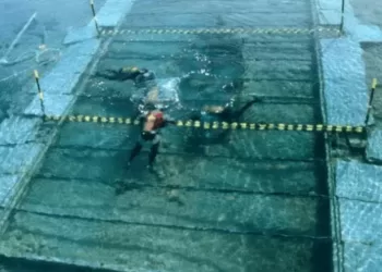 Spanish Archaeologists Seek to Raise Ancient Phoenician Wreck