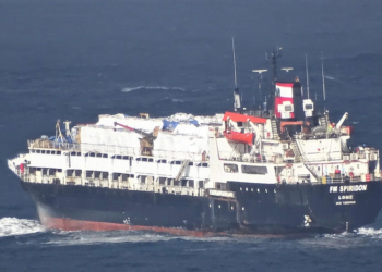 Spanish Police Seize Cocaine Worth $114 Million from Cattle Ship