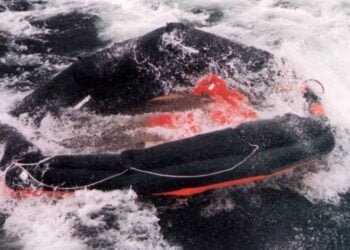 New Probe into Estonia Ferry Sinking Reveals Construction Flaws