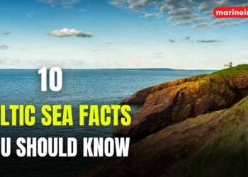 10 Celtic Sea Facts You Should Know
