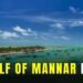 12 Gulf Of Mannar Facts You Might Not Know