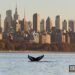 Hudson River humpback