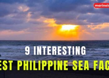 9 Interesting West Philippine Sea Facts You Must Know