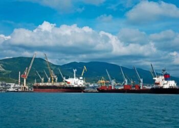 After Attacking Ukraine Wheat Exports, Russia Faces Own Shipping Challenge