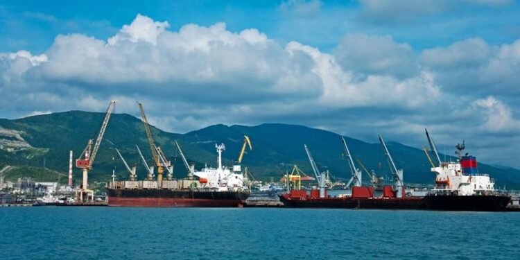 After Attacking Ukraine Wheat Exports, Russia Faces Own Shipping Challenge