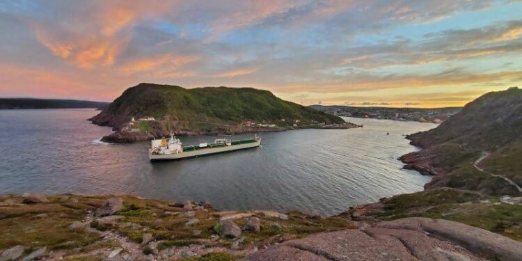 Algoma Orders Two Tankers from Hyundai Mipo