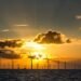 After Brexit Blow, Wind Parks at Sea Undermine Carbon Prices