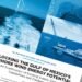 Report on U.S. Gulf Offshore wind