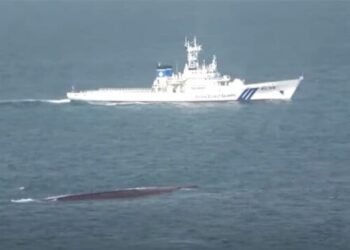 Two Missing as Japanese Cargo Ship Capsizes in Collision with Containership